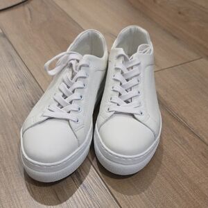 M GEMI Palestra Alta